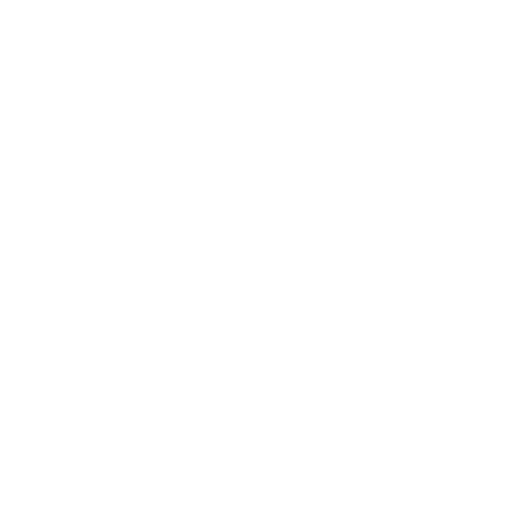 wireframe